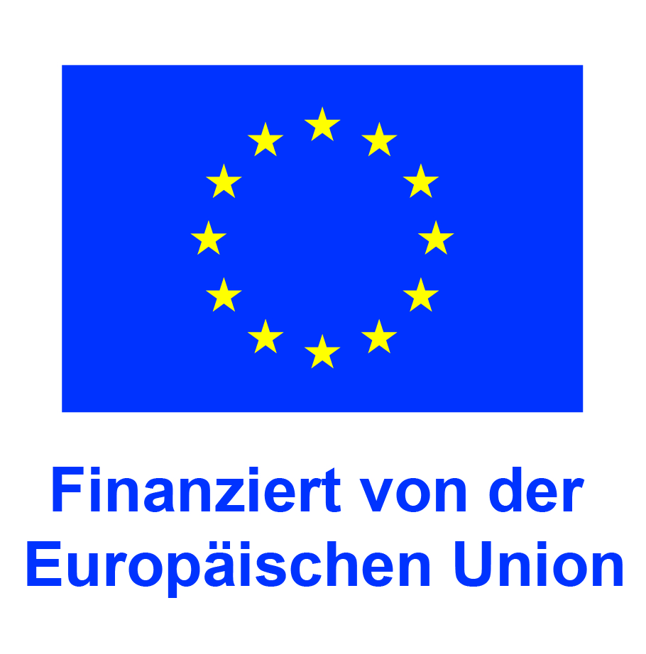DE Finanziert von der Europaeischen Union POS